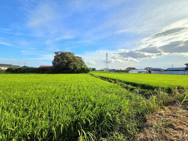 令和8年8月撮影