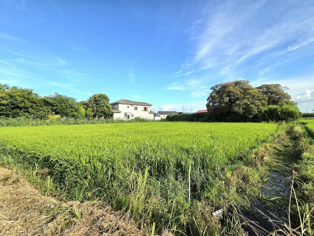 令和8年8月撮影