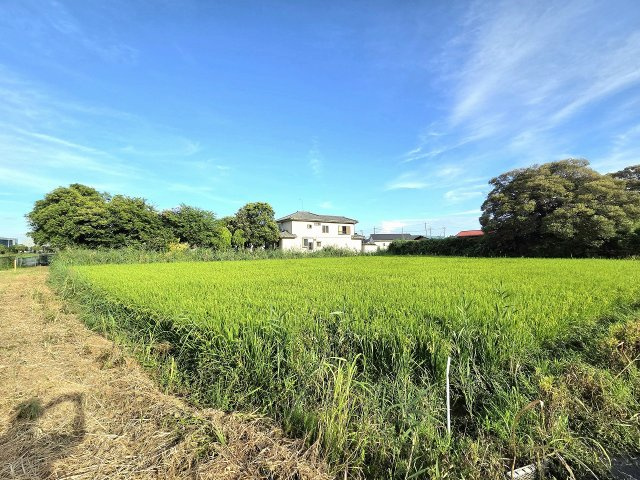 令和8年8月撮影
