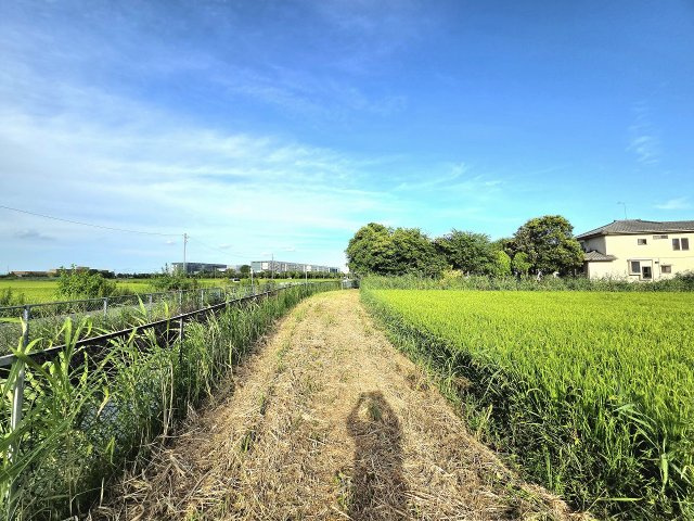 令和8年8月撮影