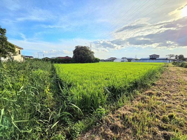 令和8年8月撮影