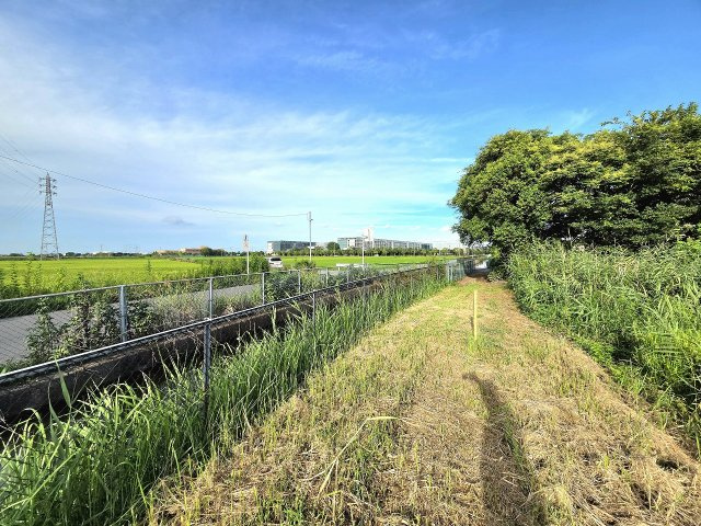 令和8年8月撮影