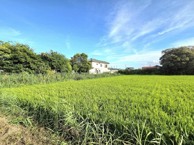 令和8年8月撮影
