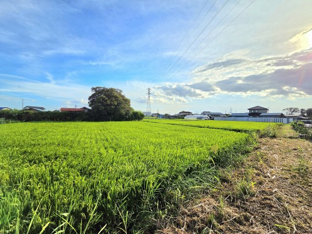 令和8年8月撮影