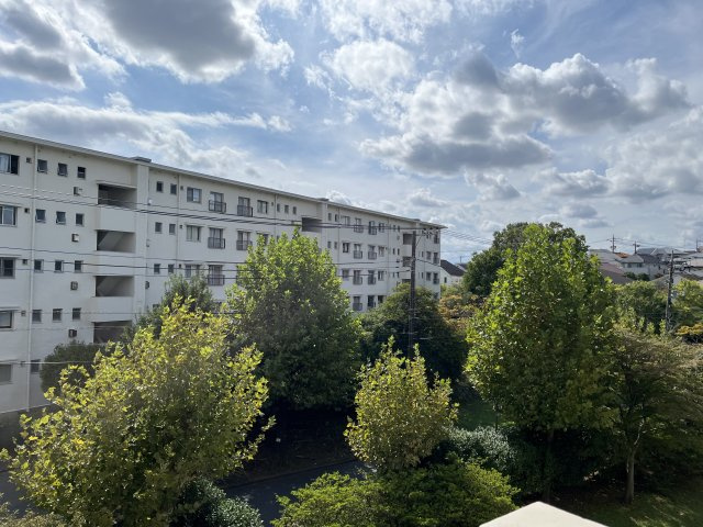 日当たり良好です