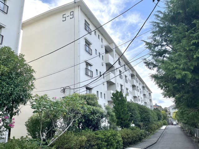 外観：314002472301