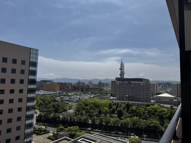 展望