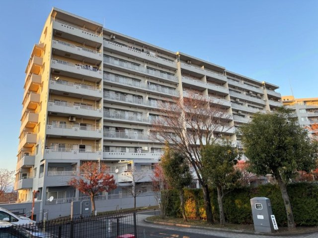 外観：313004622429