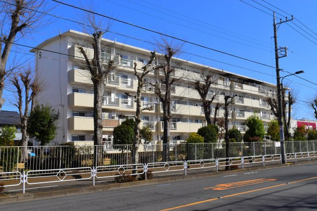 外観：313004650504