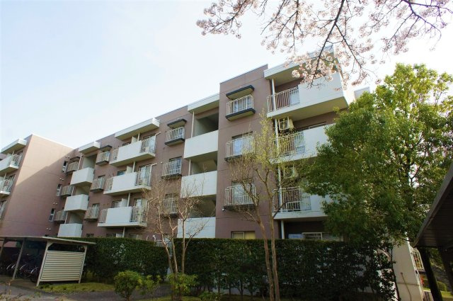 外観：312001232389