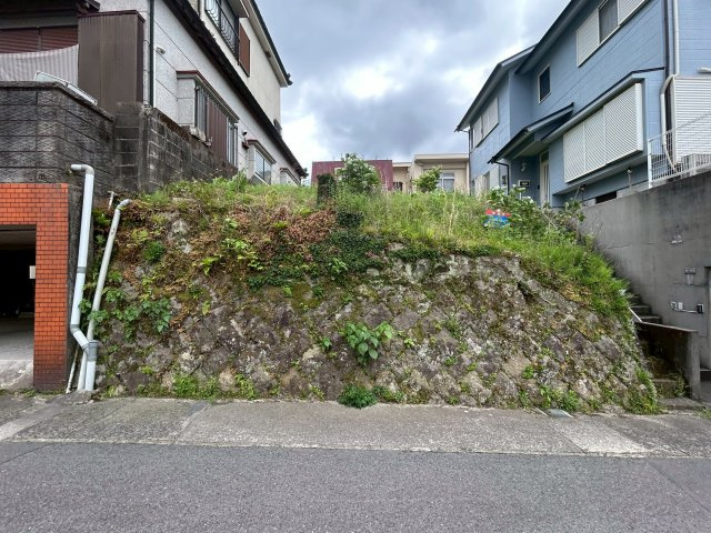 外観：346000042117