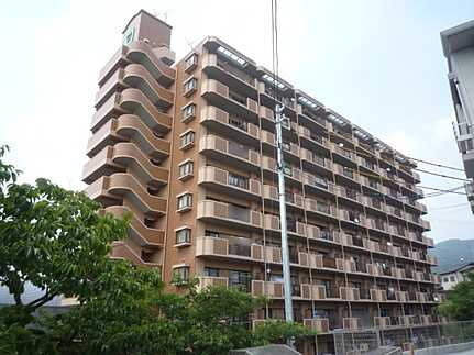 外観：334000239289