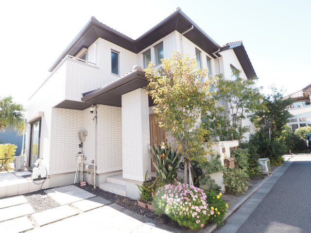 外観：312001064572