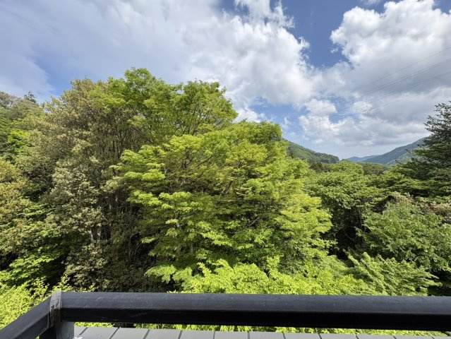 窓を開ければ、目の前に広がる箱根の森。四季折々の自然を身近に感じられる眺望です