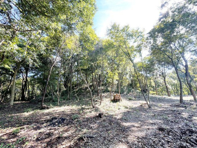 外観：308000173837