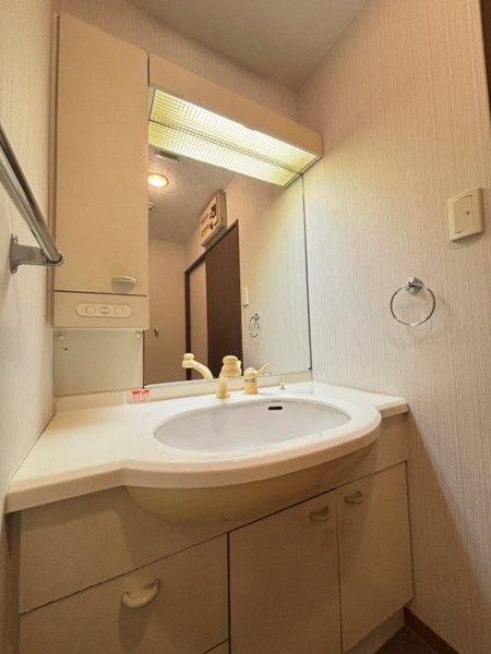 【プレジャーガーデン南大沢弐番館の独立洗面台】