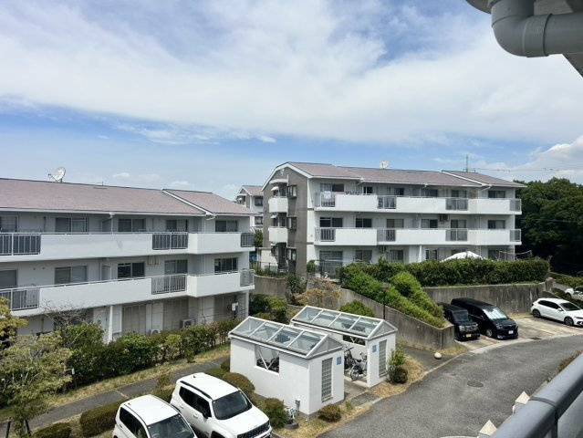展望