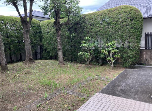 庭