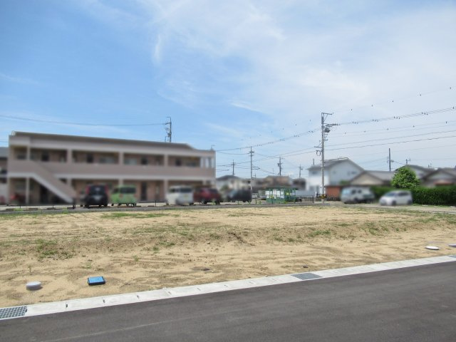 5号地