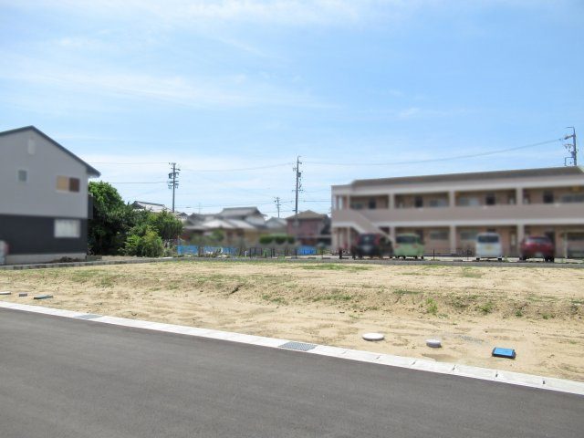 5号地