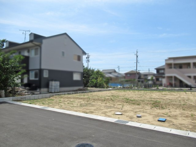 6号地