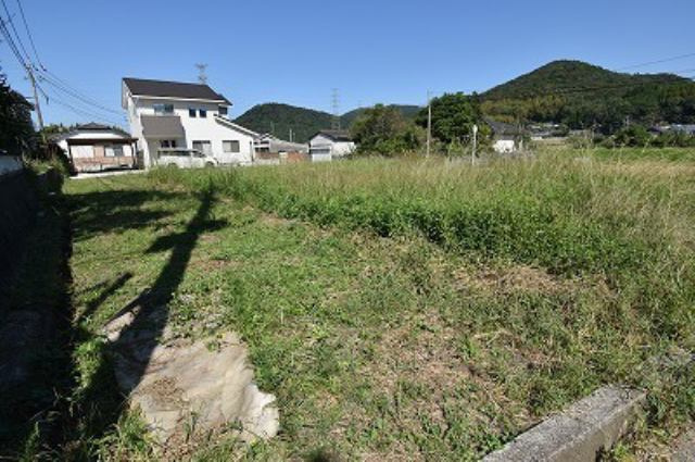 外観：346000039987