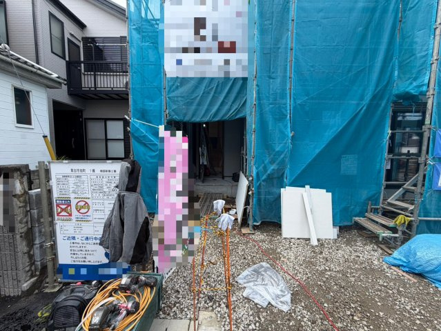 2026年6月撮影　