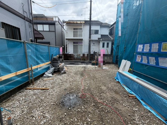 2026年6月撮影　