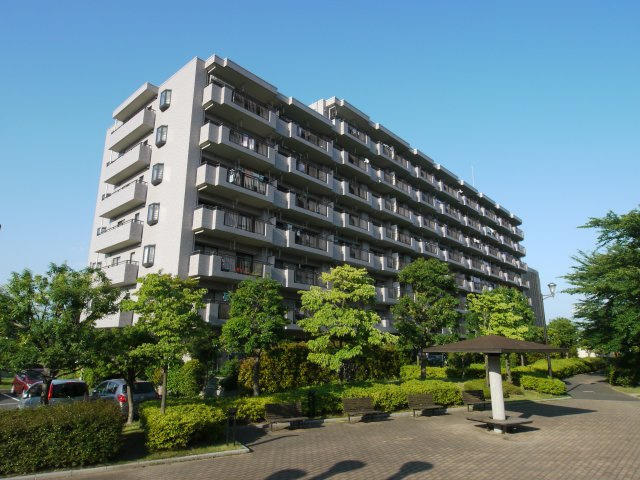 外観：311002390782
