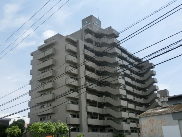 外観：339000053143