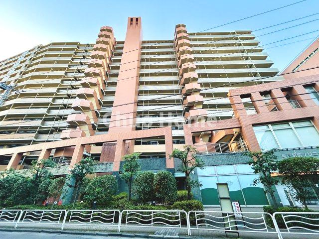 外観：313004514806