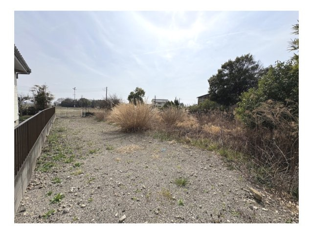 外観：311002351216