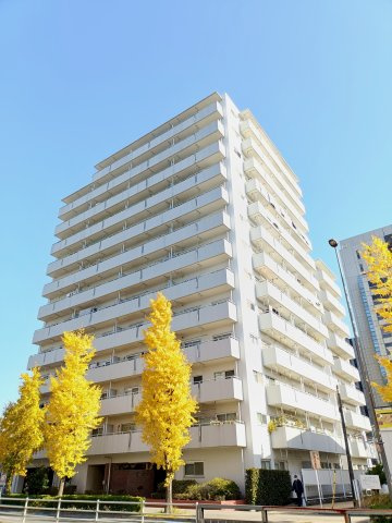 外観：313004434863