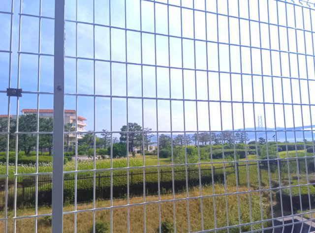 展望