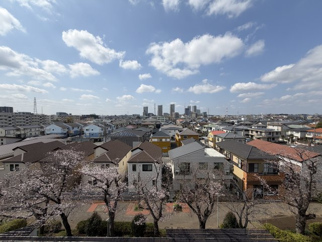 春には桜が咲いて景色はすごく良いです