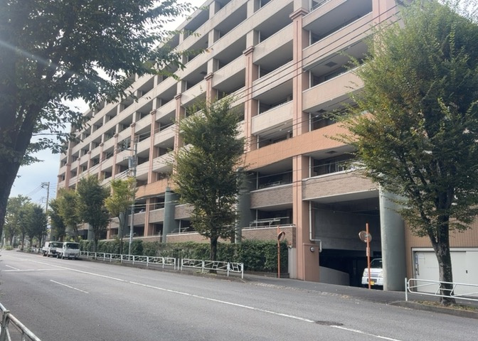 外観：313004929501