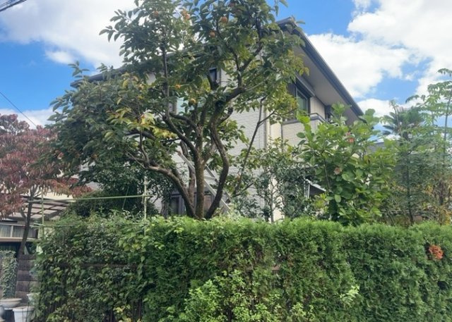 眺望を気にして物件を探す場合、前面に建物が建っていないか現地で確認しましょう！前面に建物があると景色はもちろん、日当たりや風通しにも影響が出てきます。住んだ時のことを想像しながら現地見学をしましょう。
