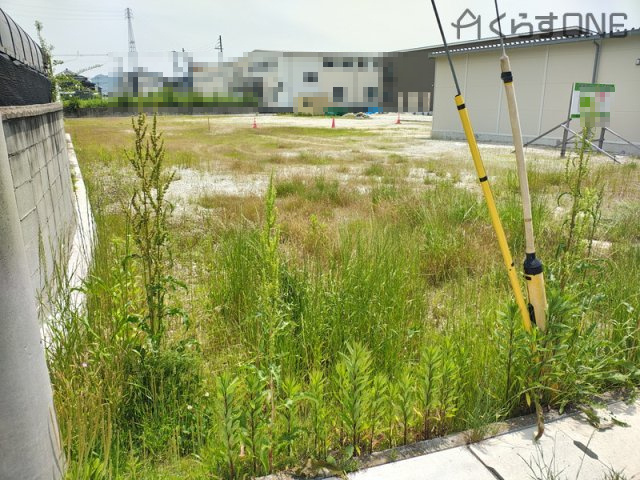 分譲地全体の写真です