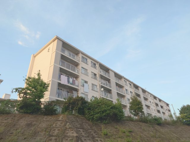 外観：314002870305