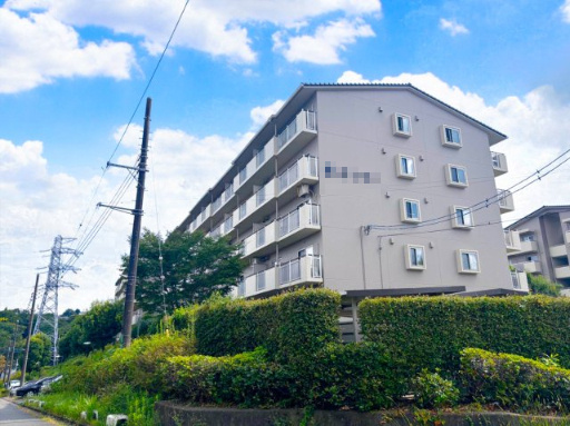 外観：313004616269