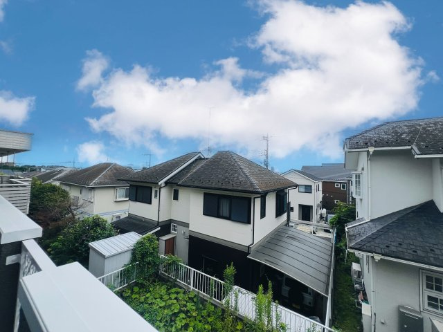 現地眺望