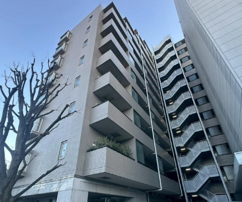 外観：313004698982