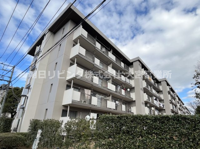 外観：311002318304