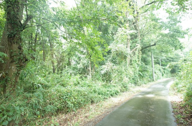 外観：311002312211