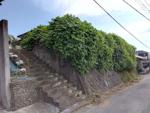 外観：322000549661