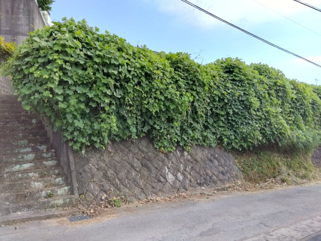 敷地が約60坪と広々としています。自由な間取りでお家が建てられます。駐車場を広く取る事も可能です。