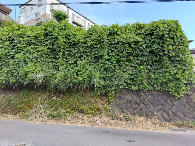 閑静な住宅地に位置しています。車通りが少なく騒音も気にならない穏やかな環境です。