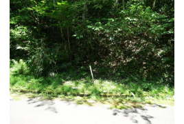 荘川ビレッジ⑨の外観