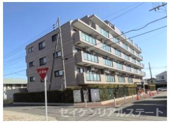 外観：314002663707