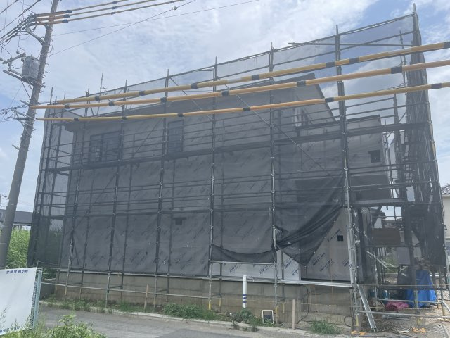 7/26撮影